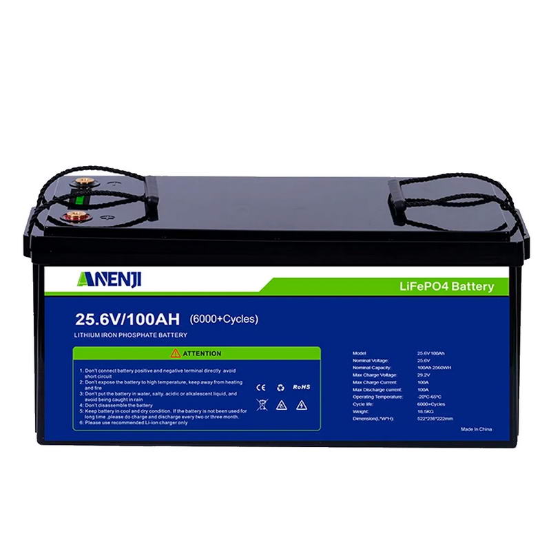 Акумулятор для ДБЖ ANENJI ANJ 24V 100AH LiFePO4